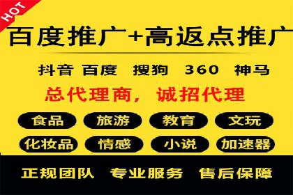 案例分析：百度推广代运营公司在行业中的应用与成效